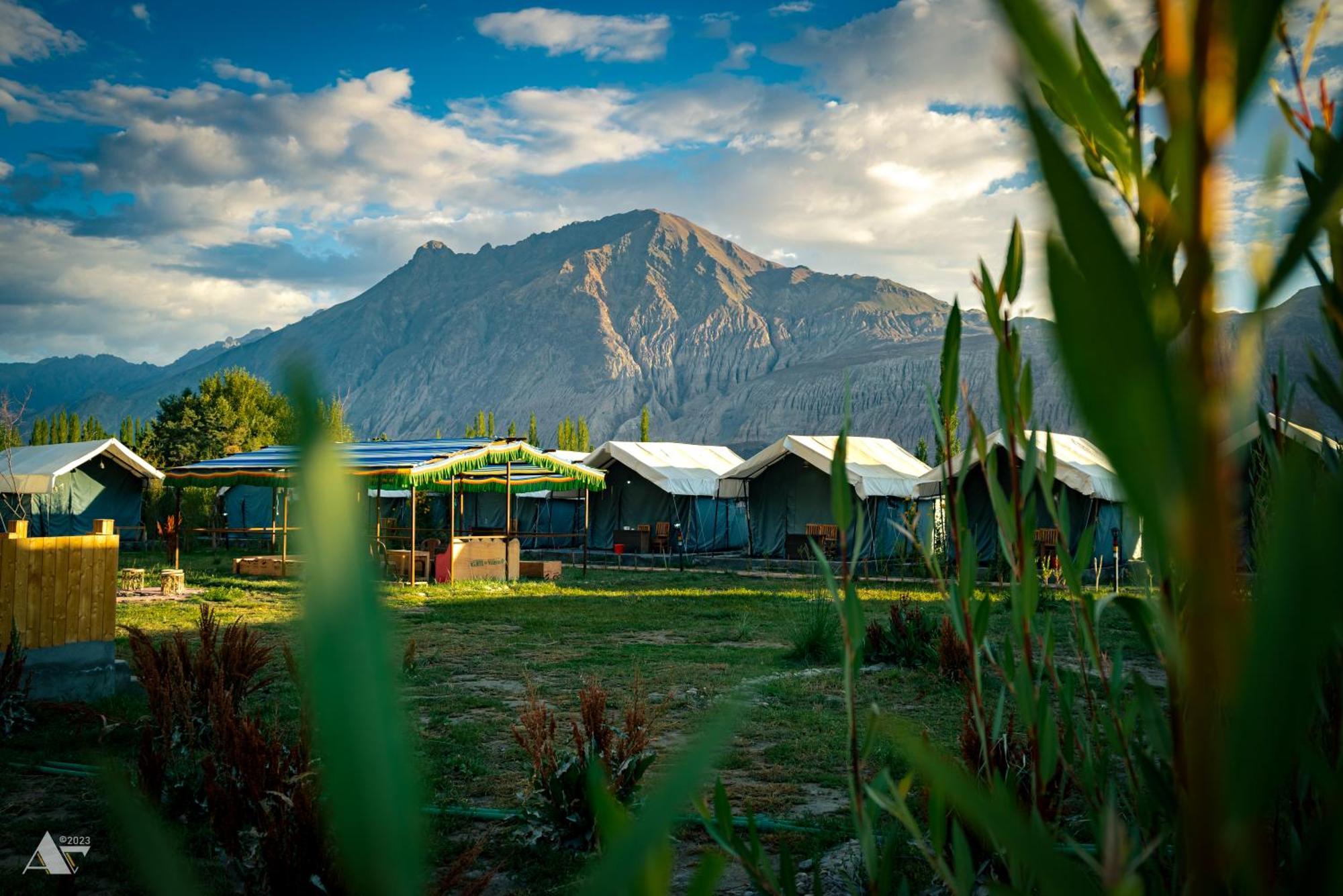Green Throne Camp Bed & Breakfast Лех Екстериор снимка
